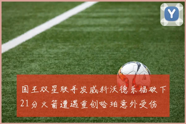国王双星联手发威科沃德乐福砍下21分火箭遭遇重创哈珀意外受伤