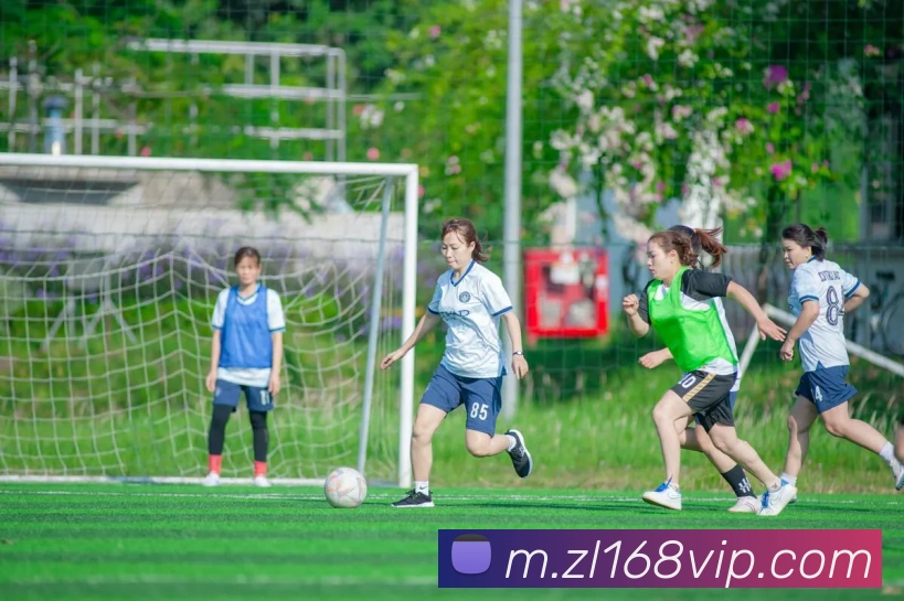 尊龙娱乐发展历程